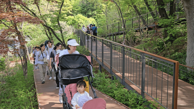 지난 19일 오전 9시 서울 용산구 후암동 남산하늘숲길에서 3040 부모들이 아기띠, 아기 등산 캐리어를 매고, 유아차를 끌며 등산하고 있다. /영상=박수빈 기자