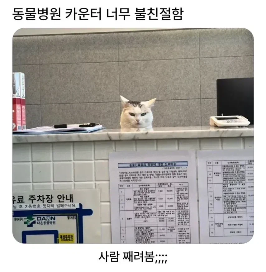 동물병원 직원이 불친절 | 인스티즈
