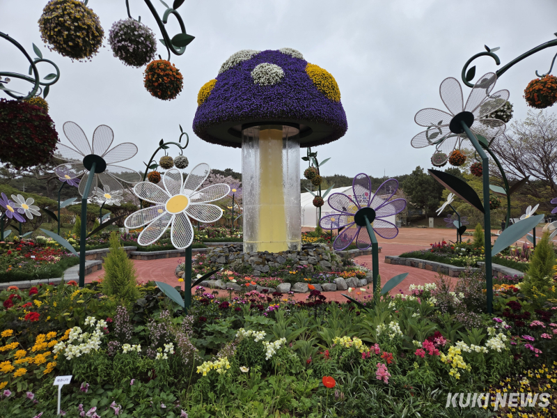 태안 박람회 야외 튤립 정원