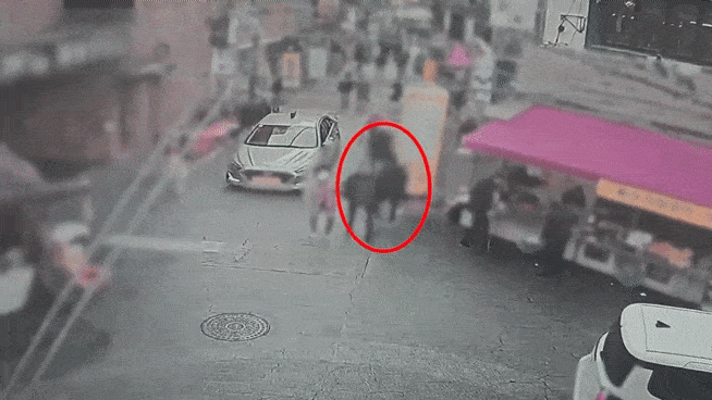 지난 1월 부산 부산진구 한 도로에서 손목치기 범행을 하는 모습. [부산경찰청]