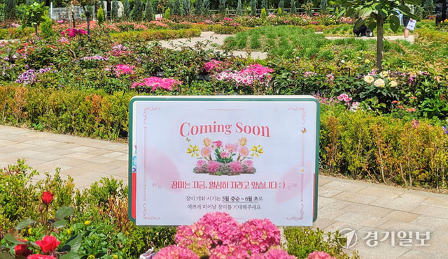 고양국제꽃박람회 체험 프로그램