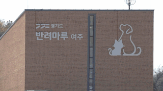 경기도 여주 반려마루에서 만난 은퇴군견 담비와 담보 모습. 전병준 기자