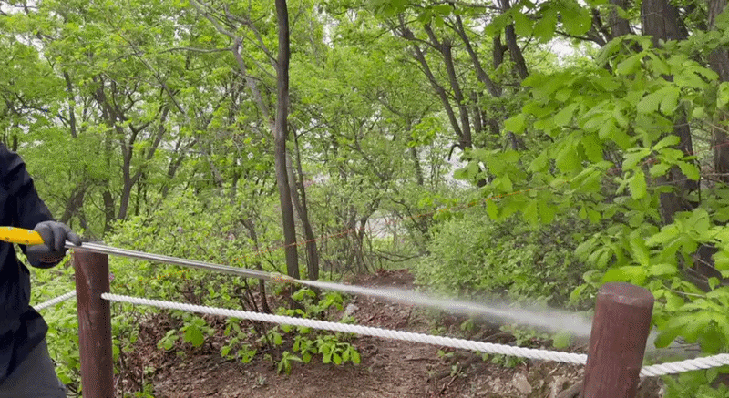 지난 22일 인천 계양구 계양산 정상 일대에서 김동건 삼육대 환경생태연구소장이 러브버그 유충 방제제 실증을 위해 방제제를 섞은 물을 살포하고 있다. /현정민 기자