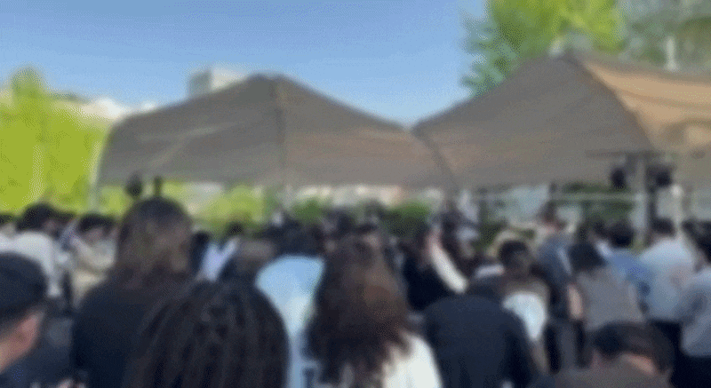 지난 25일 서울 마포구 홍대문화공원에서 '지하돌' 5팀의 공연에 맞춰 팬들이 춤을 추고 있다. /현정민 기자