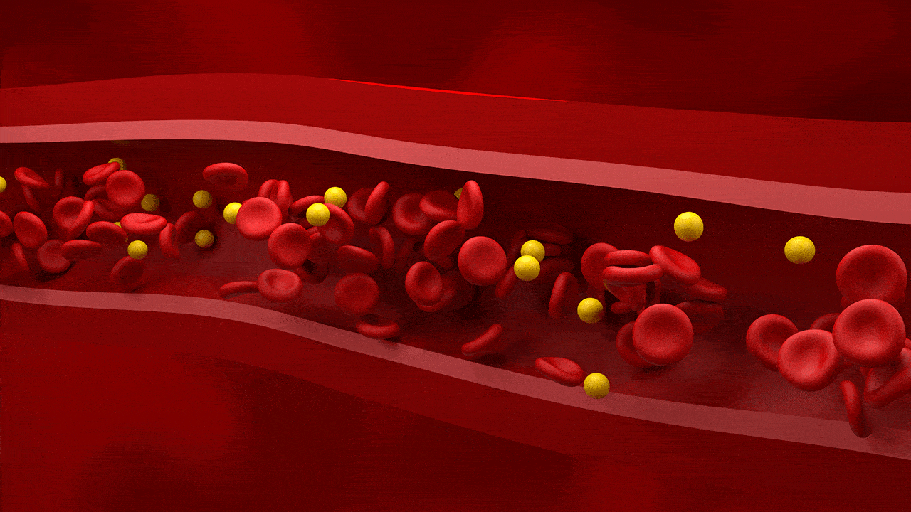 이상지질혈증 예방을 위한 콜레스테롤 관리의 중요성｜출처: 클립아트코리아