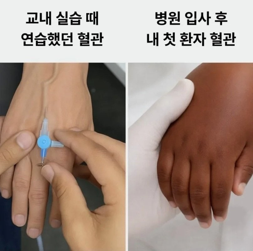 간호사의 연습과 실전.jpg | 인스티즈