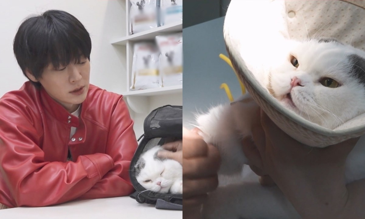 노란 수영복에 섹시한 몸매 어필하는 존예 처자