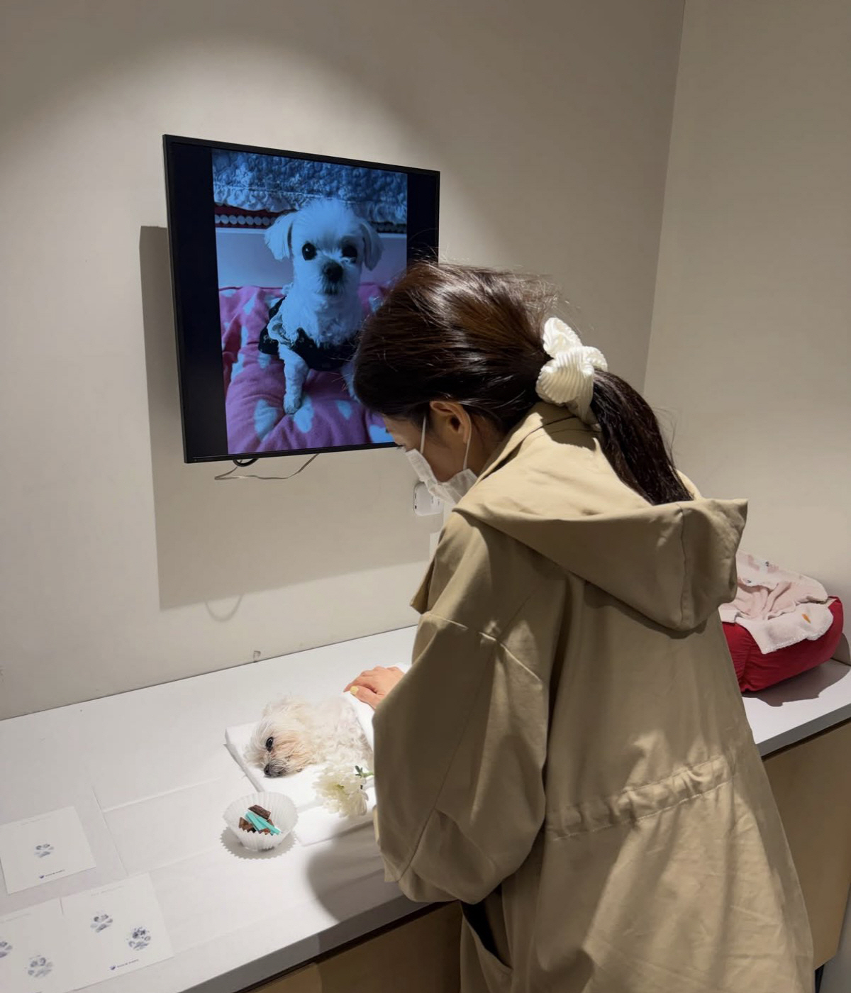 노란 수영복에 섹시한 몸매 어필하는 존예 처자