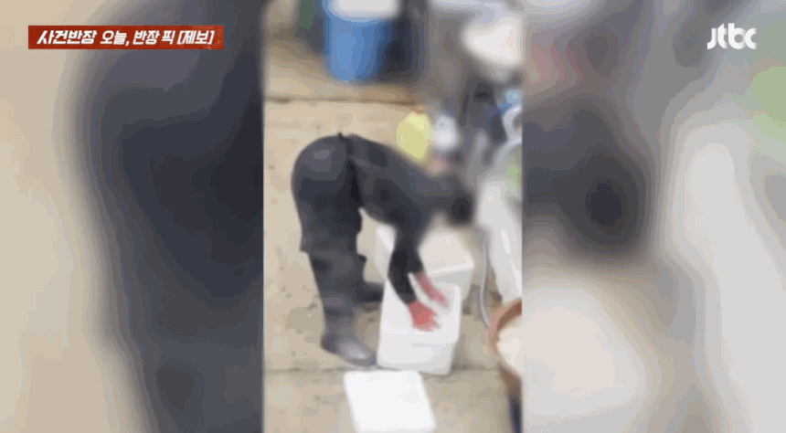 서울 광장시장에서 한 음식점 직원이 쓰레기통에 버려진 얼음 컵을 꺼내 재사용했다는 주장이 제기됐다. /사진=JTBC '사건반장' 캡처