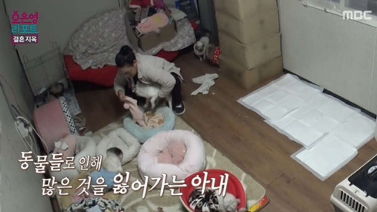 노란 수영복에 섹시한 몸매 어필하는 존예 처자