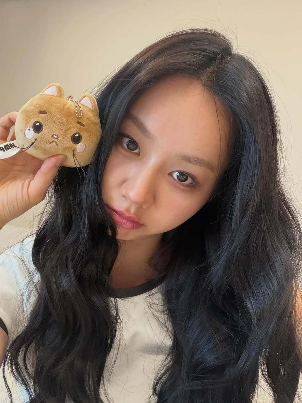 Hyeri social media