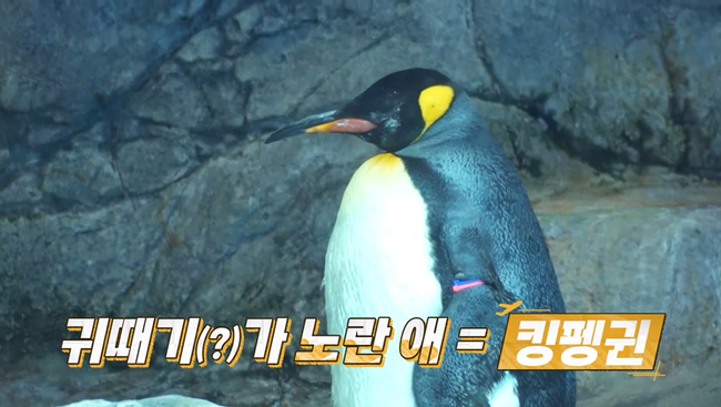 사진 제공=채널S, SK브로드밴드
