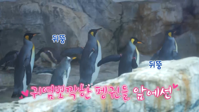 사진 제공=채널S, SK브로드밴드