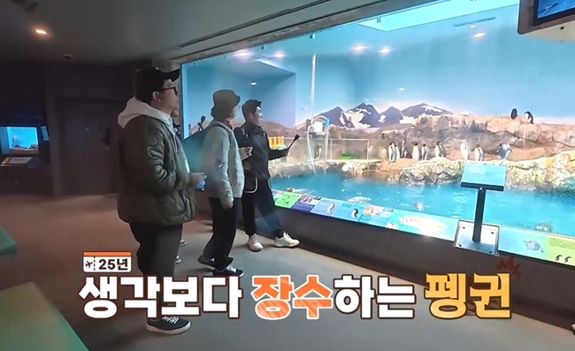 사진 제공=채널S, SK브로드밴드