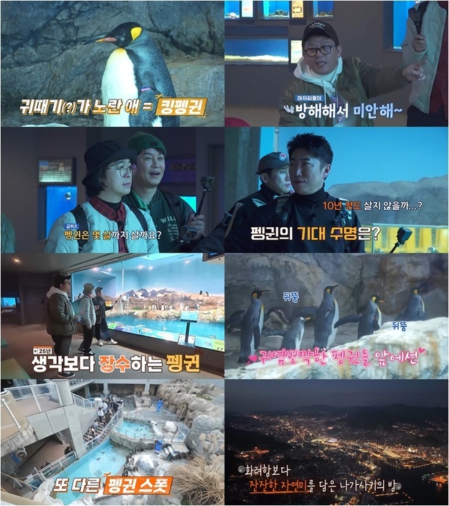 사진 제공=채널S, SK브로드밴드