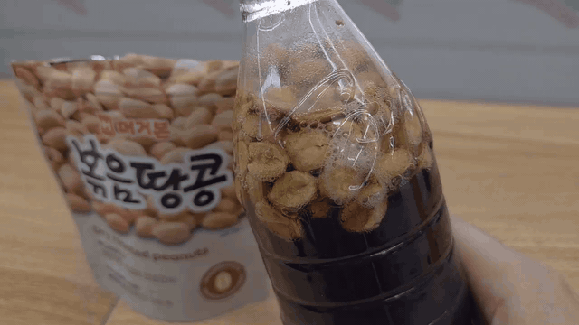 (사진=한전진 기자)