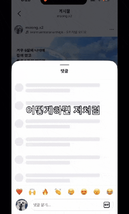 뭉뭉이의 전업 강아지 특강 1탄(인스타그램 moong.x2 제공) ⓒ 뉴스1