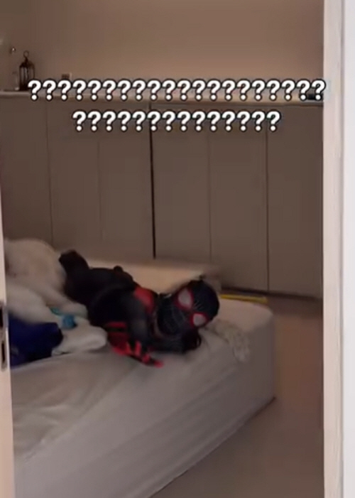 20260510131851984ndzc