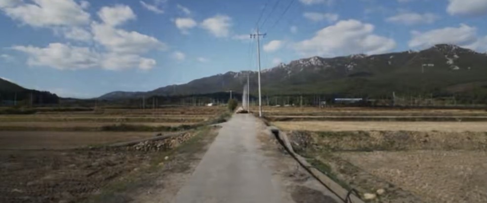 20260511172700399flnf