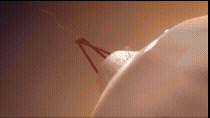 2028년 12월쯤 NASA는 화성에 헬리콥터 편대를 보낼 계획이다. [사진=NASA]