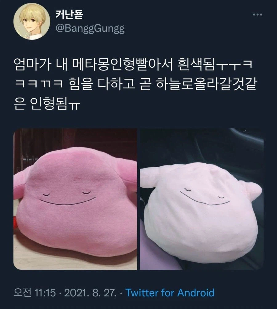 창백한 메타몽 | 인스티즈
