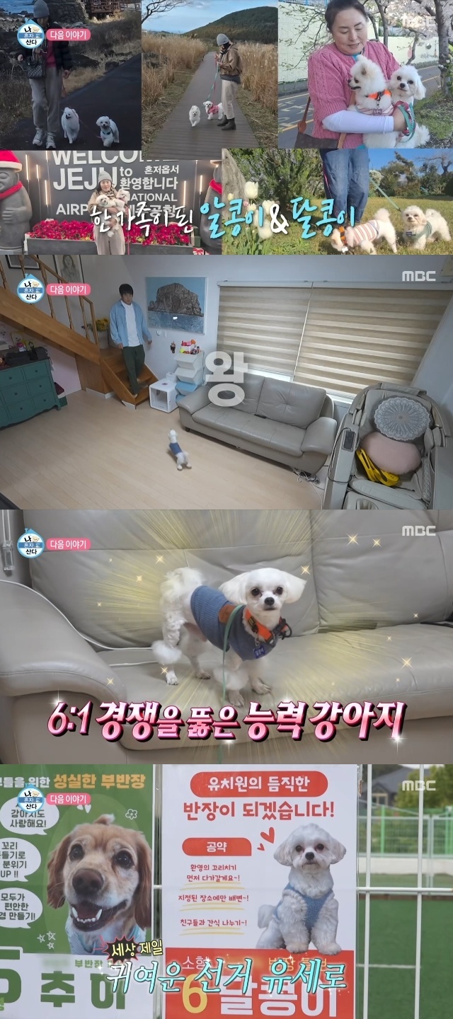 MBC ‘I Live Alone’ capture