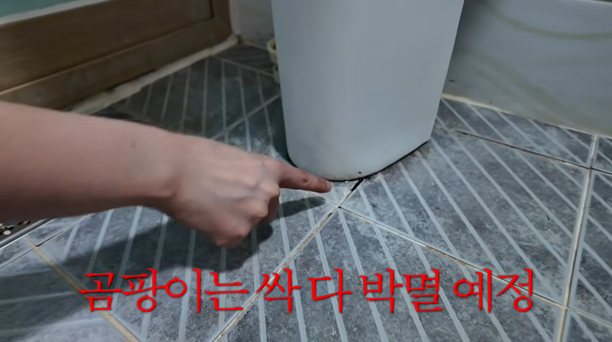 Photo=Park Kyung-hye YouTube