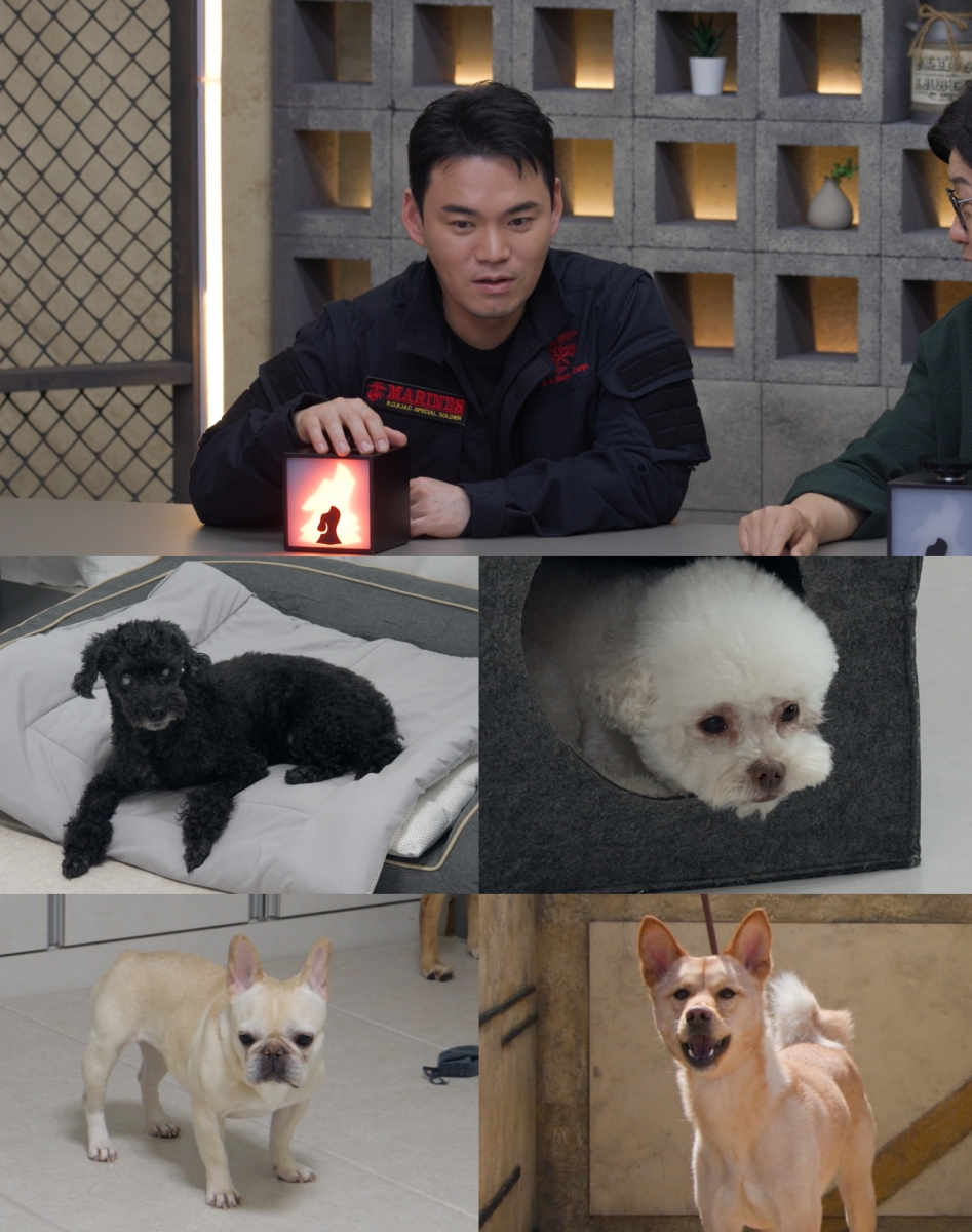 Marine Corps Alum Chun Rok-dam Becomes Kang Hyung-wook's Right Hand? "Until It Works!" in 'Time of Dog and Wolf 2' Marine Corps Alum Chun Rok-dam Becomes Kang Hyung-wook's Right Hand?