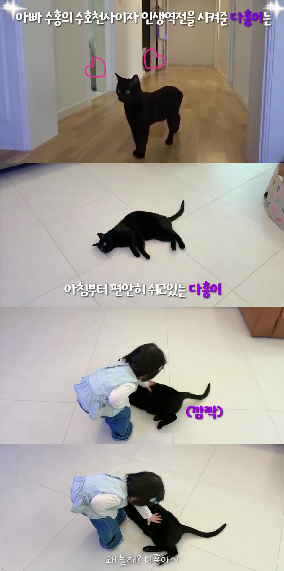 "You Benefited So Much From Dahong!" Netizens Debate Park Soo-hong's Video of Pet Cat Hiding From Daughter Jae-i 2 Capture from YouTube channel 'Park Soo-hong Happy Dahong'.