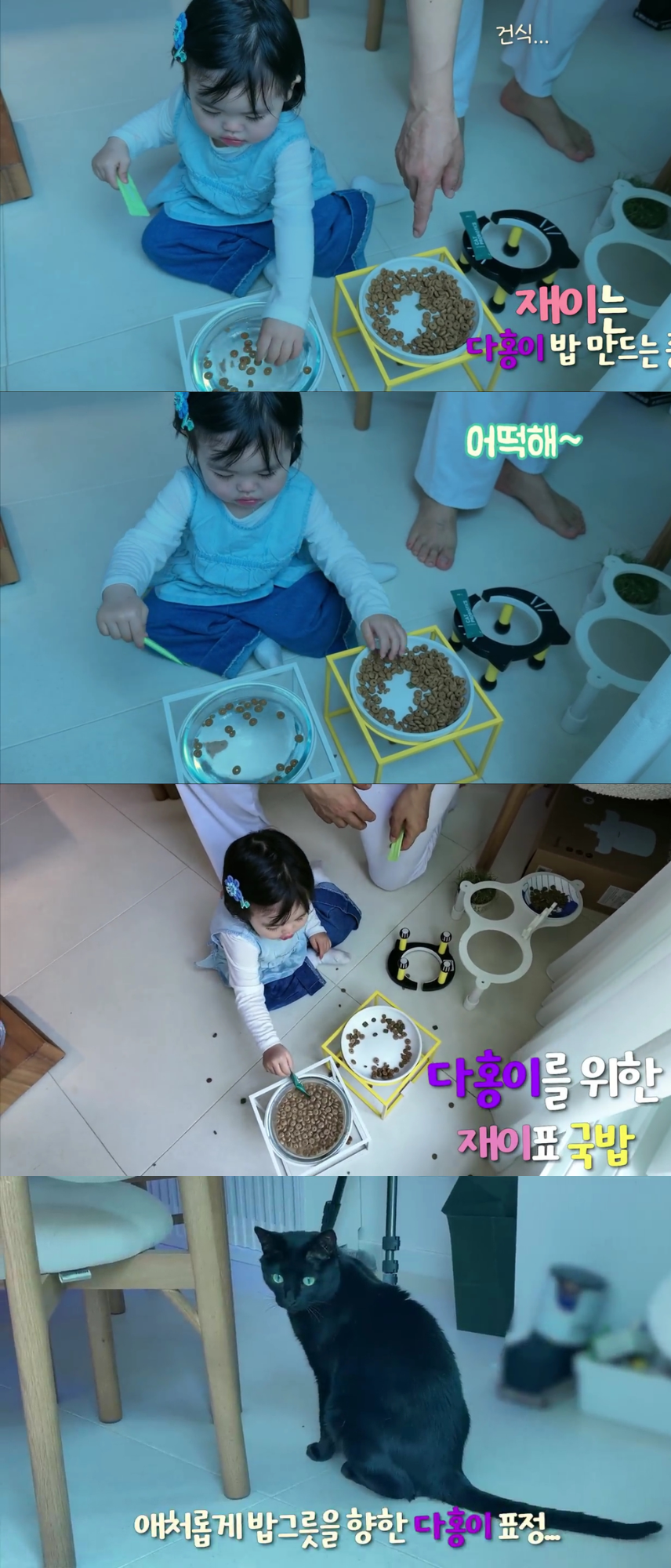 "You Benefited So Much From Dahong!" Netizens Debate Park Soo-hong's Video of Pet Cat Hiding From Daughter Jae-i 3 Capture from YouTube channel 'Park Soo-hong Happy Dahong'.