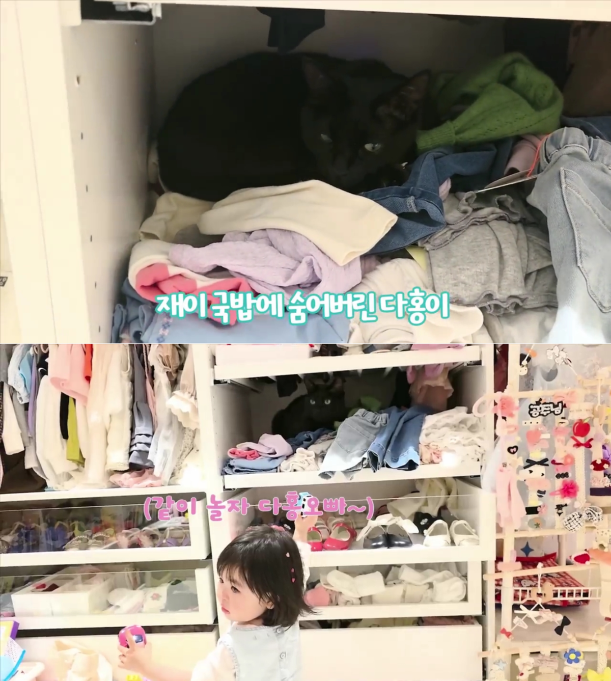 "You Benefited So Much From Dahong!" Netizens Debate Park Soo-hong's Video of Pet Cat Hiding From Daughter Jae-i 4 Capture from YouTube channel 'Park Soo-hong Happy Dahong'.