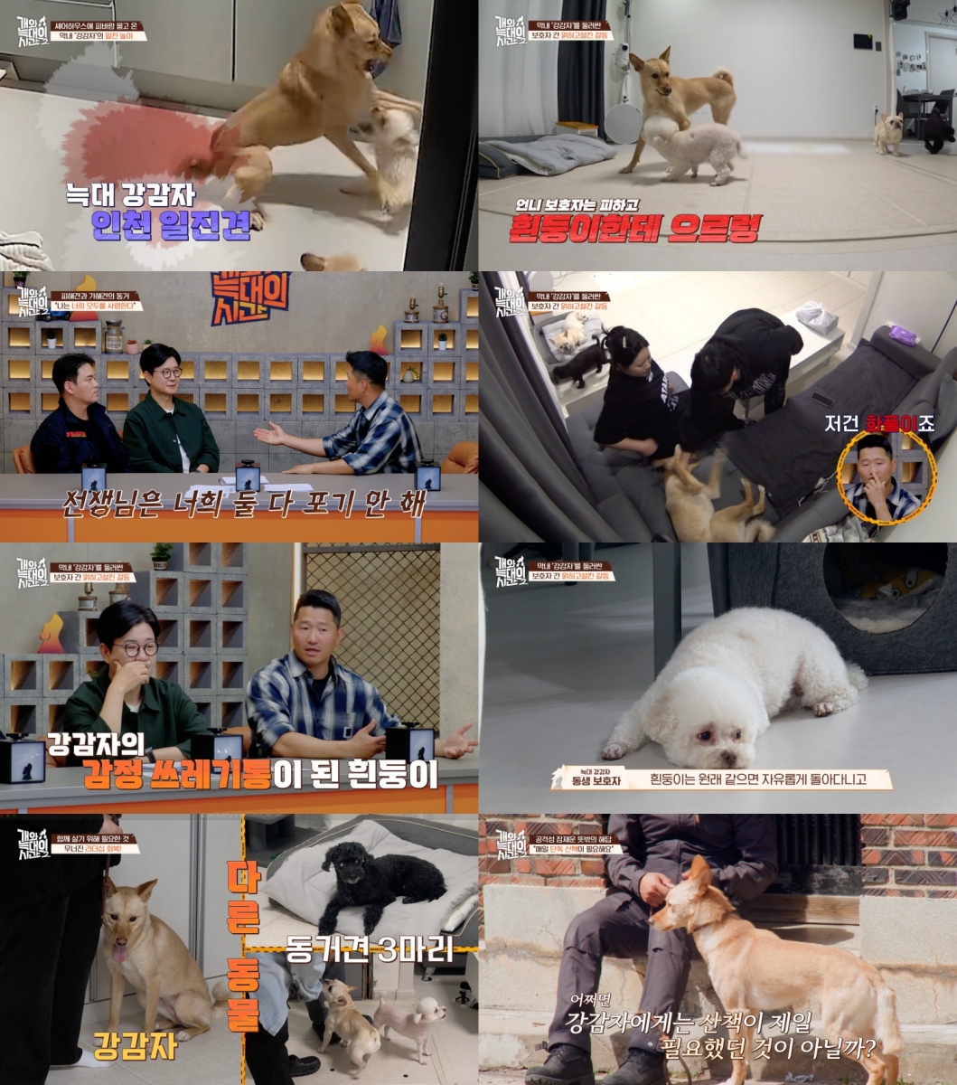 Kang Hyung-wook Warns Owner Protecting "Bully Dog": "It's Like Loving Both the Perpetrator and Victim of School Violence" Kang Hyung-wook Warns Owner Protecting