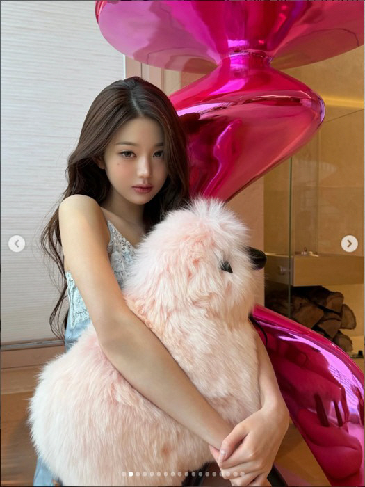 Jang Wonyoung Defines 'Young and Rich' with a 1.5 Million Won Pink Sheep! Jang Wonyoung Defines 'Young and Rich' with a 1.5 Million Won Pink Sheep!