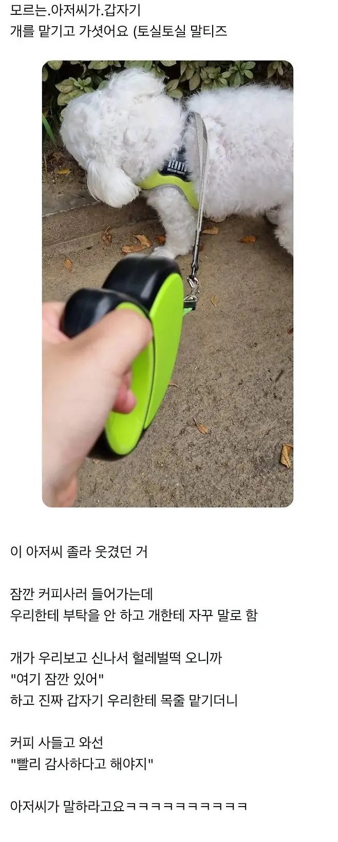 어떤 아저씨가 길에서 개 맡기고 감 | 인스티즈