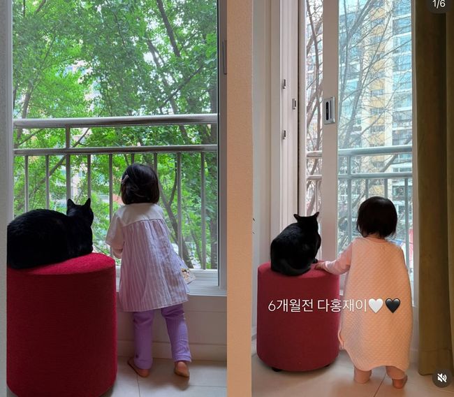 Park Soo-hong Shuts Down Pet Neglect Rumors with Heartwarming Photos of Daughter Jae-i and Cat Dahong 2 Park Soo-hong SNS