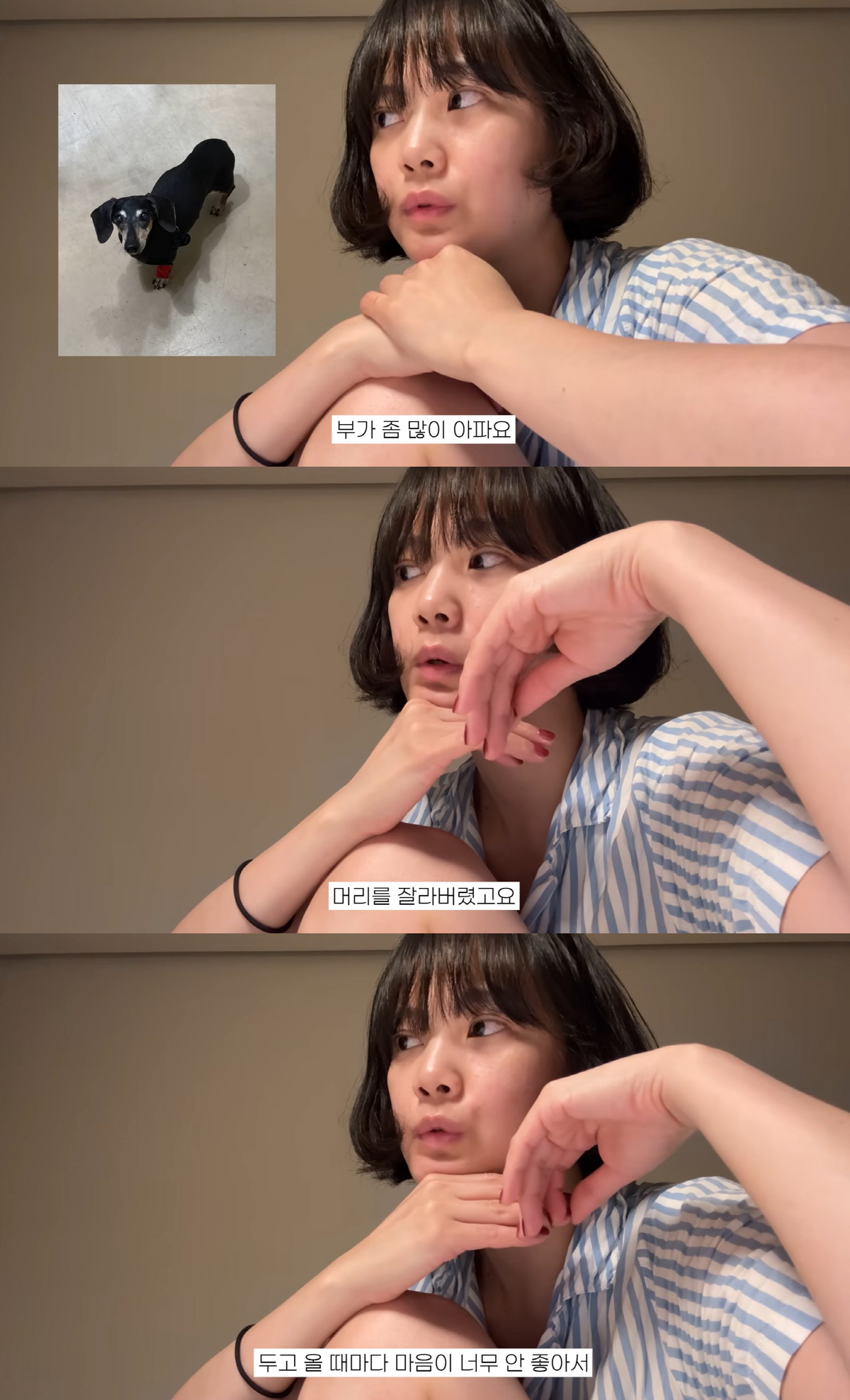 Yoon Seung-ah Cuts Her Long Hair and Shares Heartbreaking News About Her Sick Dog 2 20260524233141668kffu