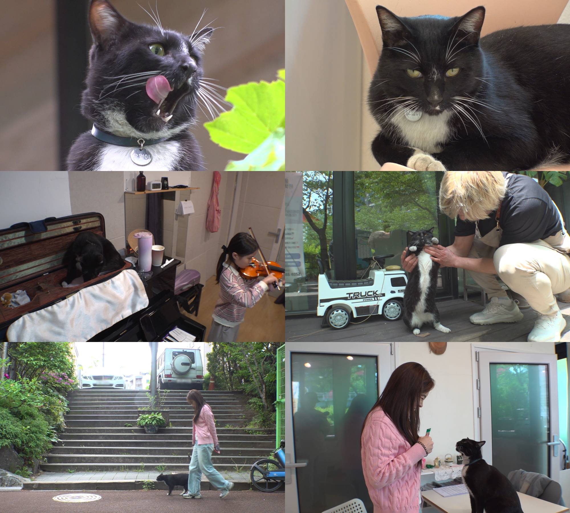노란 수영복에 섹시한 몸매 어필하는 존예 처자
