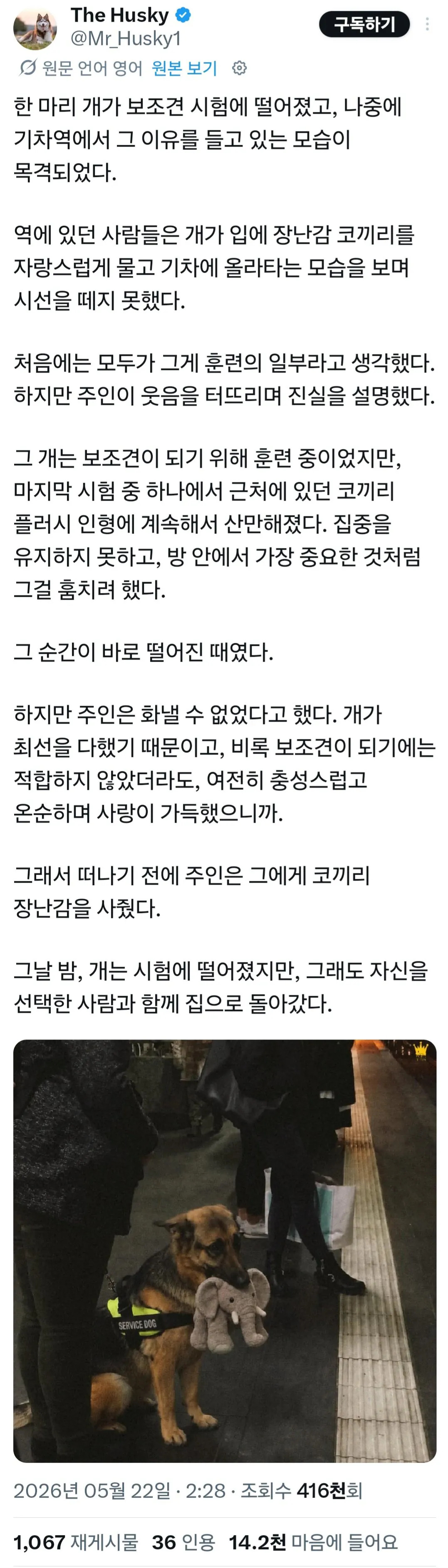 장애인 보조견 시험에서 떨어진 댕댕이 | 인스티즈