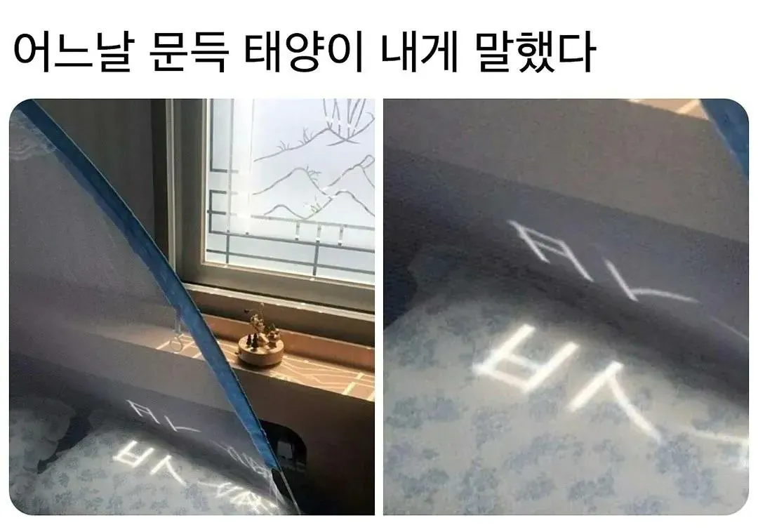어느날 태양이 문득 내게 말했다 | 인스티즈