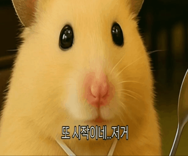 (영상=유튜브 채널 '정서불안 김햄찌')