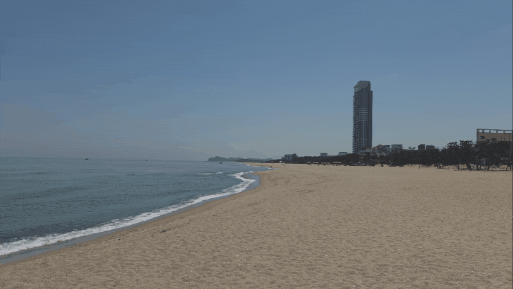 영상=이정우 기자