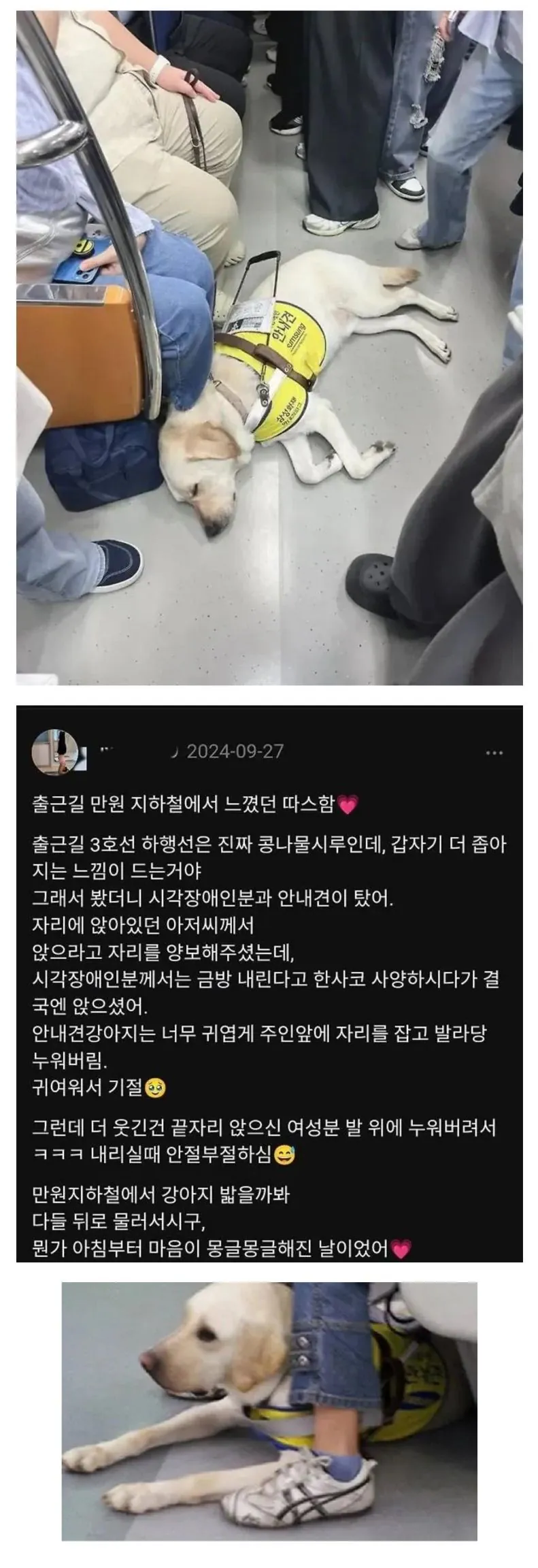 어느날 출근길 지하철이 훈훈해진 이유 | 인스티즈