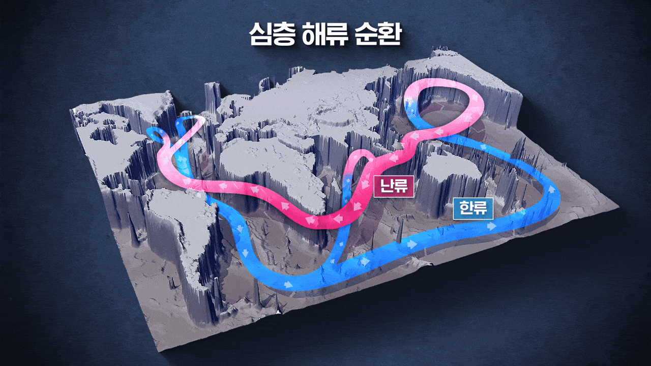 AMOC(대서양 남북순환) : AMOC은 '바다의 컨베이어벨트'로 불린다. 열대 해역에서 북쪽으로 이동한 따뜻한 바닷물이 북대서양에서 식어 깊은 바다로 가라앉아 남쪽으로 흐른다. AMOC은 전 세계 해양 순환과 연결돼 있으며, 북대서양은 그 순환이 시작되는 곳이다.