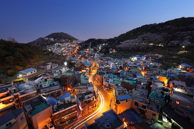 소울 대표 사진