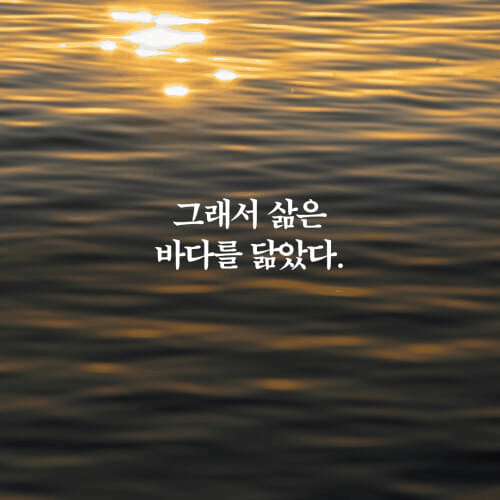 '소년은 바다처럼 운다'는 불안과 허무 속에서도 끝내 살아가야 하는 이유를 친구의 부재와 함께 파고든다. 저자 임세병은 4막 4장 구성 속에 에세이, 소설, 시, 그림을 겹쳐 놓으며 파리와 코르시카를 오간 시간, 현수의 부재, 살아남은 자의 관성을 한 흐름으로 묶는다.