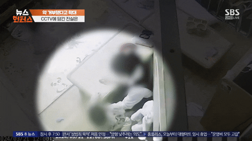 SBS '뉴스헌터스'
