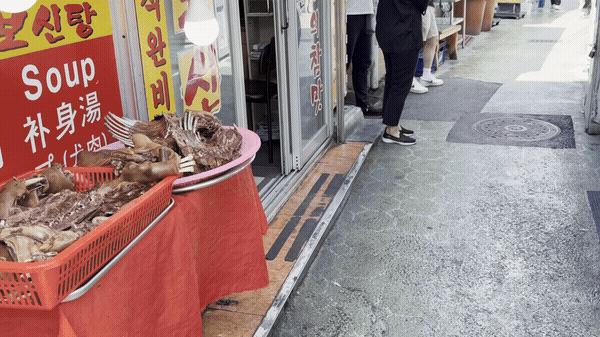 [서울=뉴시스] 김서하 인턴기자 = 15일 초복을 맞았지만 서울 종로구 보신탕 가게들이 한산한 모습을 보이고 있다. 2026.07.15. photo@newsis.com *재판매 및 DB 금지