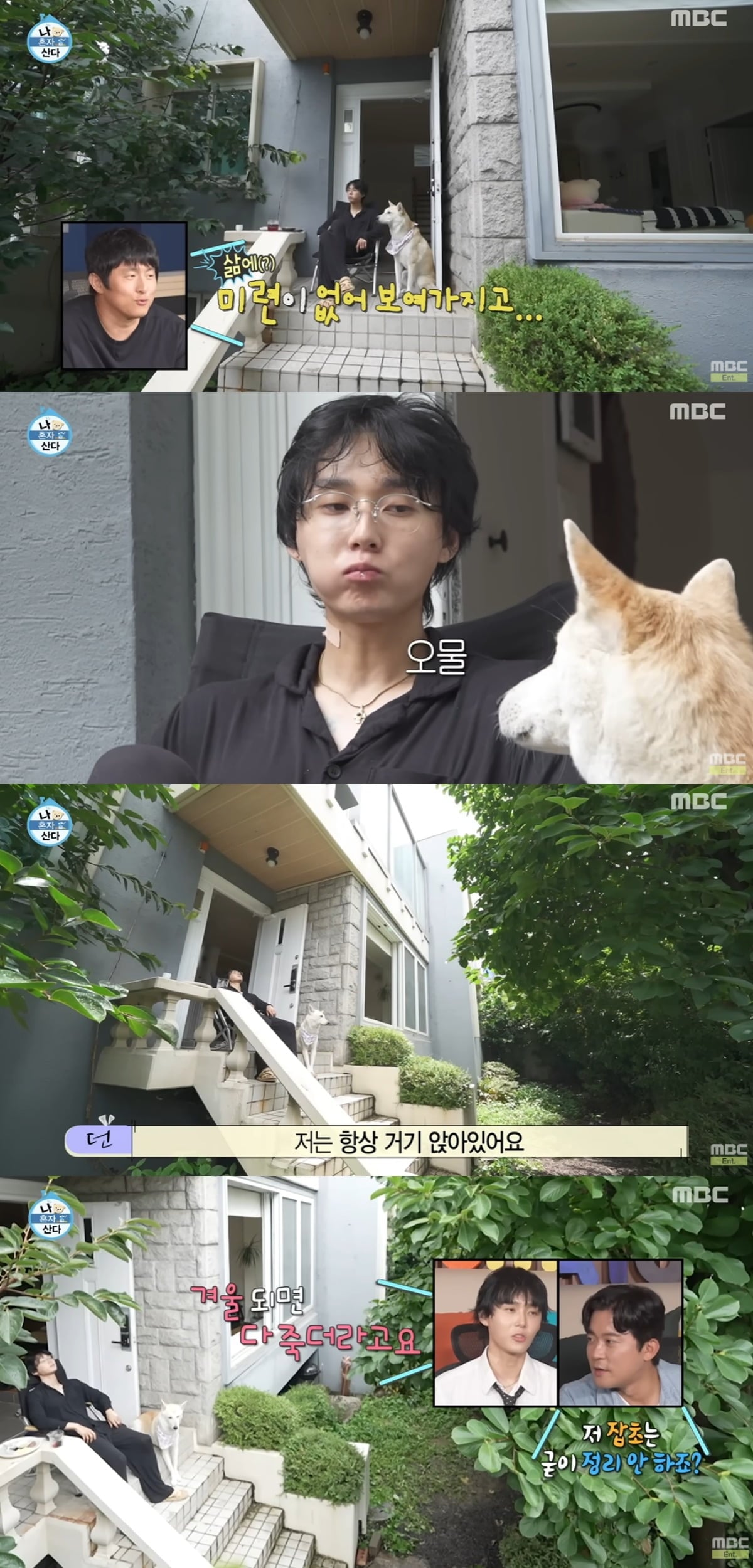 만성부신증후군 증상 및 원인 던 목련나무