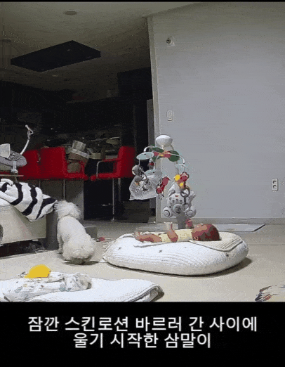 아기가 울자 달려가 달래주는 당근이(인스타그램 3rd_horse_ 제공) ⓒ 뉴스1