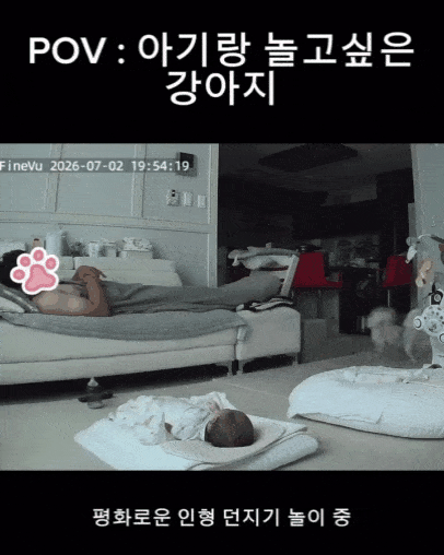 아기에게 인형을 물어다 주는 당근이(인스타그램 3rd_horse_ 제공) ⓒ 뉴스1